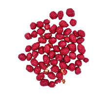 El Azteca Garapiñados – 3lb Bulk Bag with 25 Individually Sealed 2.4oz Packs of Candied Peanuts