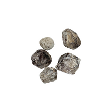 Hola Saladitos Lemon - Tangy Salted Dried Plums - Sabores De Mexico