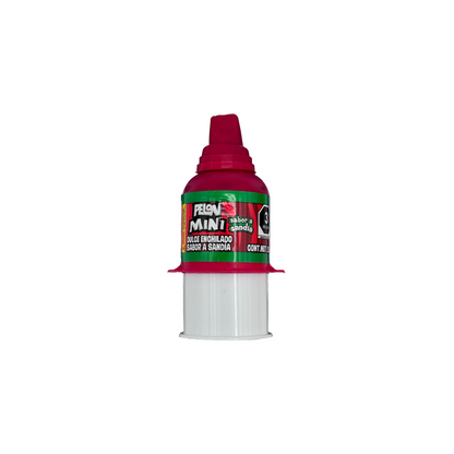 Mini Pelon Pelo Rico Surtido - 18-Pack - Sabores De Mexico